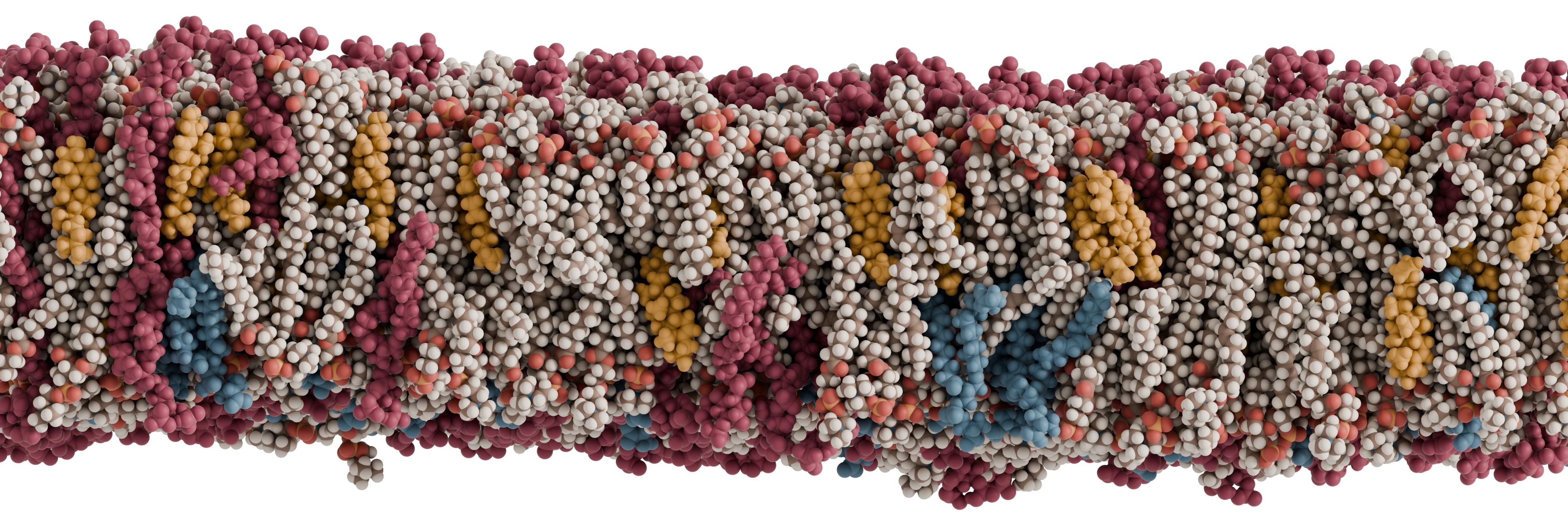 A wide membrane slab rendered in cream, coral, ochre, teal and wine