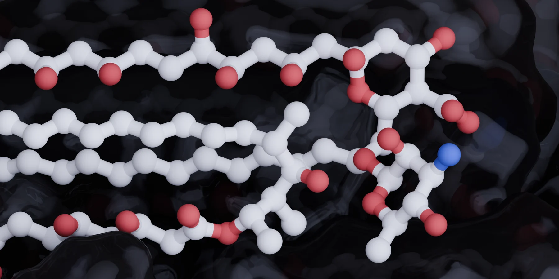 Lipid close-up
