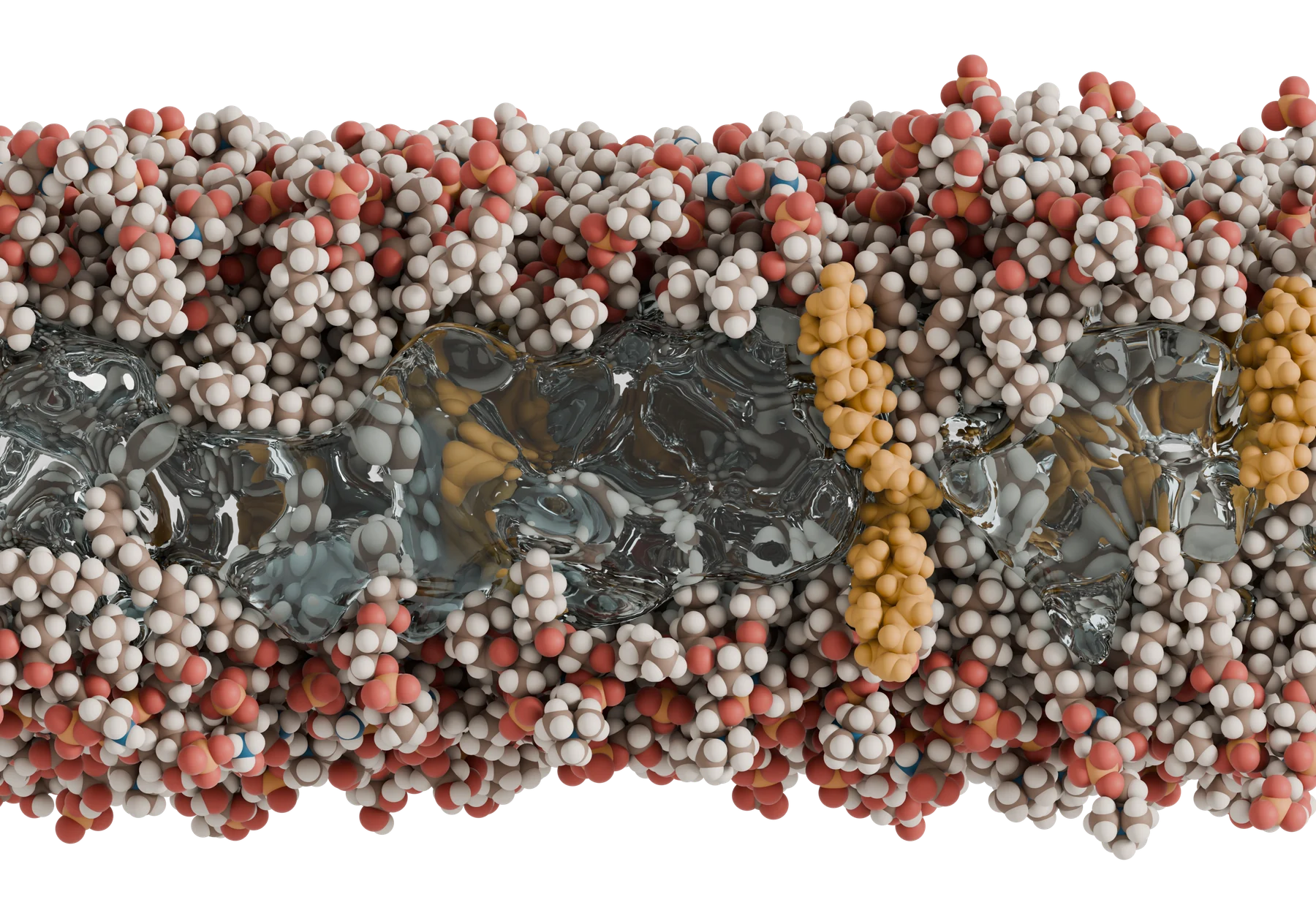 Membrane cavity