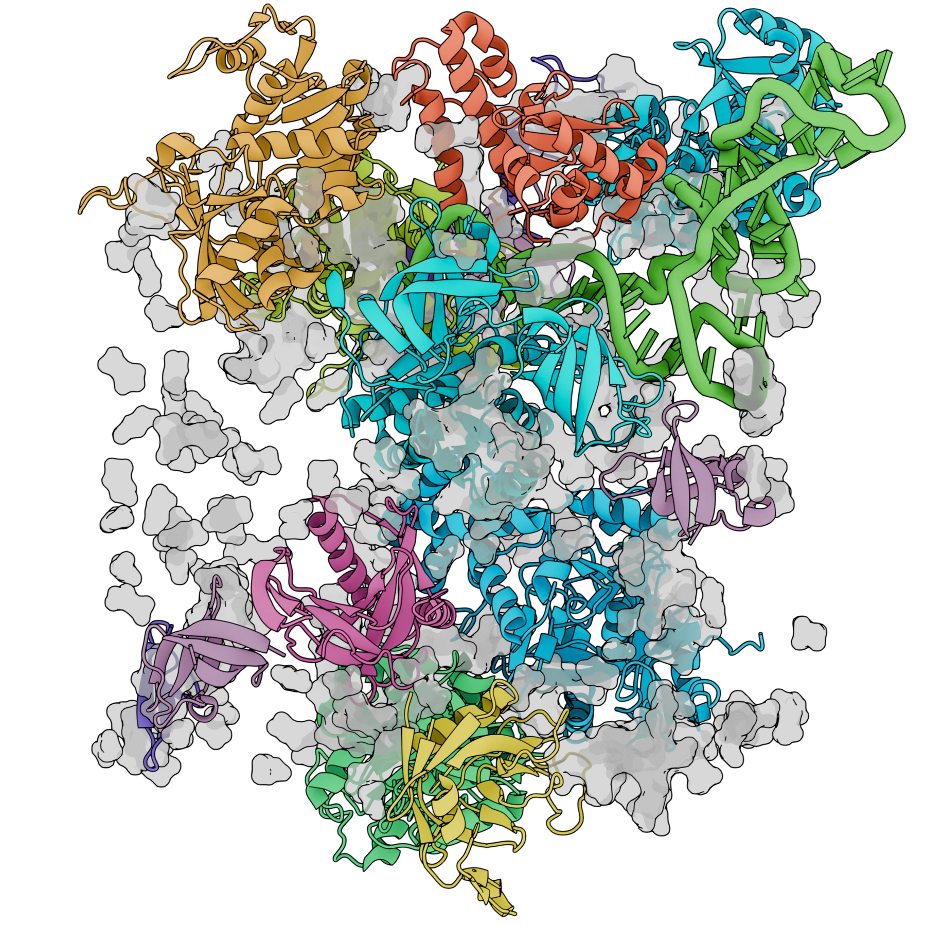 In-cell protein panel