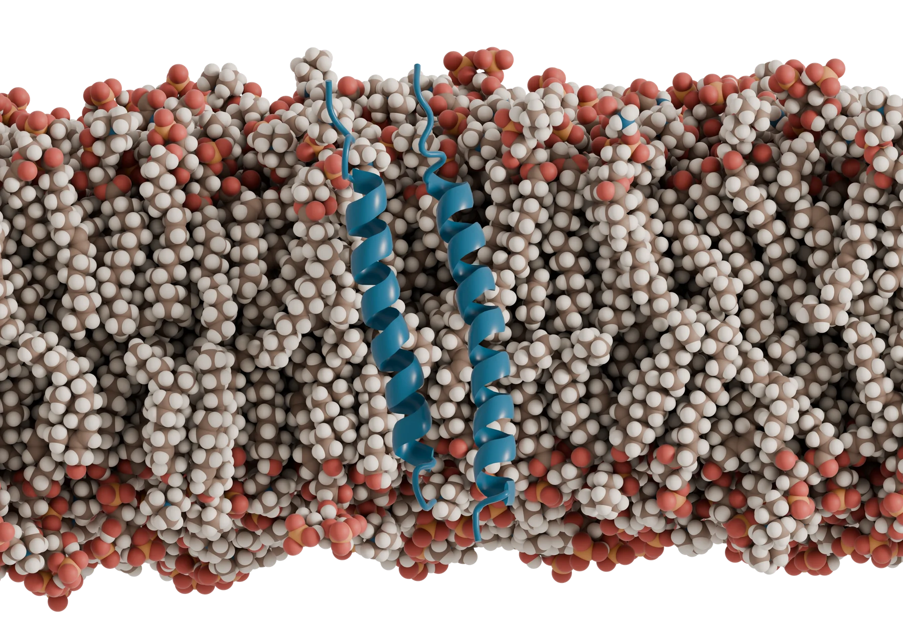 Transmembrane helices
